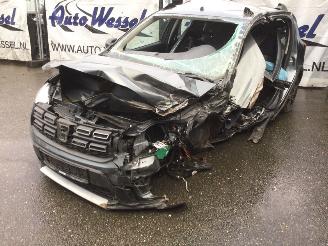 dañado vehículos comerciales Dacia Sandero Stepway 2018/8