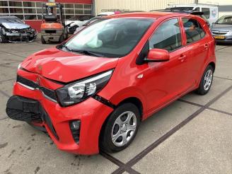 dommages camions /poids lourds Kia Picanto Picanto (JA), Hatchback, 2017 1.0 12V 2017/7