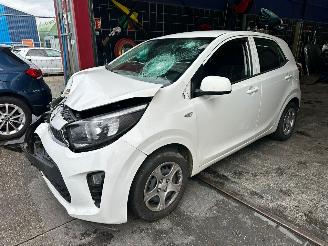 danneggiata veicoli commerciali Kia Picanto  2019/3